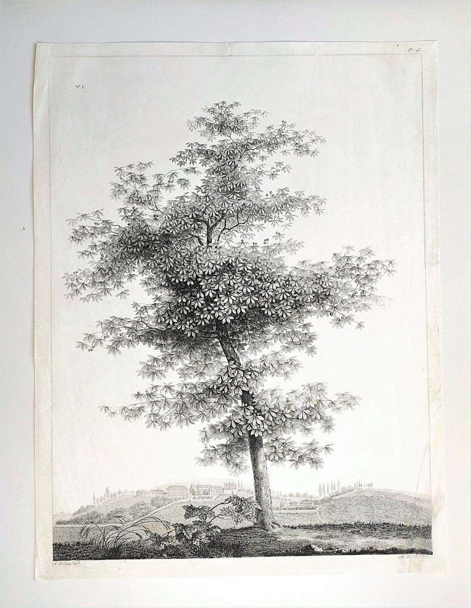 Paysage à l'Arbre  Gravure Ancienne d'époque Empire 19ème -photo-2