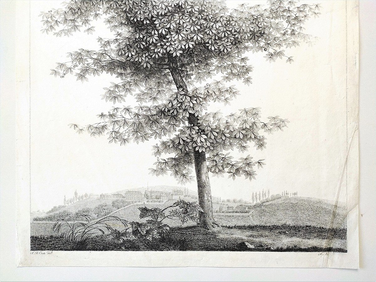 Paysage à l'Arbre  Gravure Ancienne d'époque Empire 19ème -photo-3