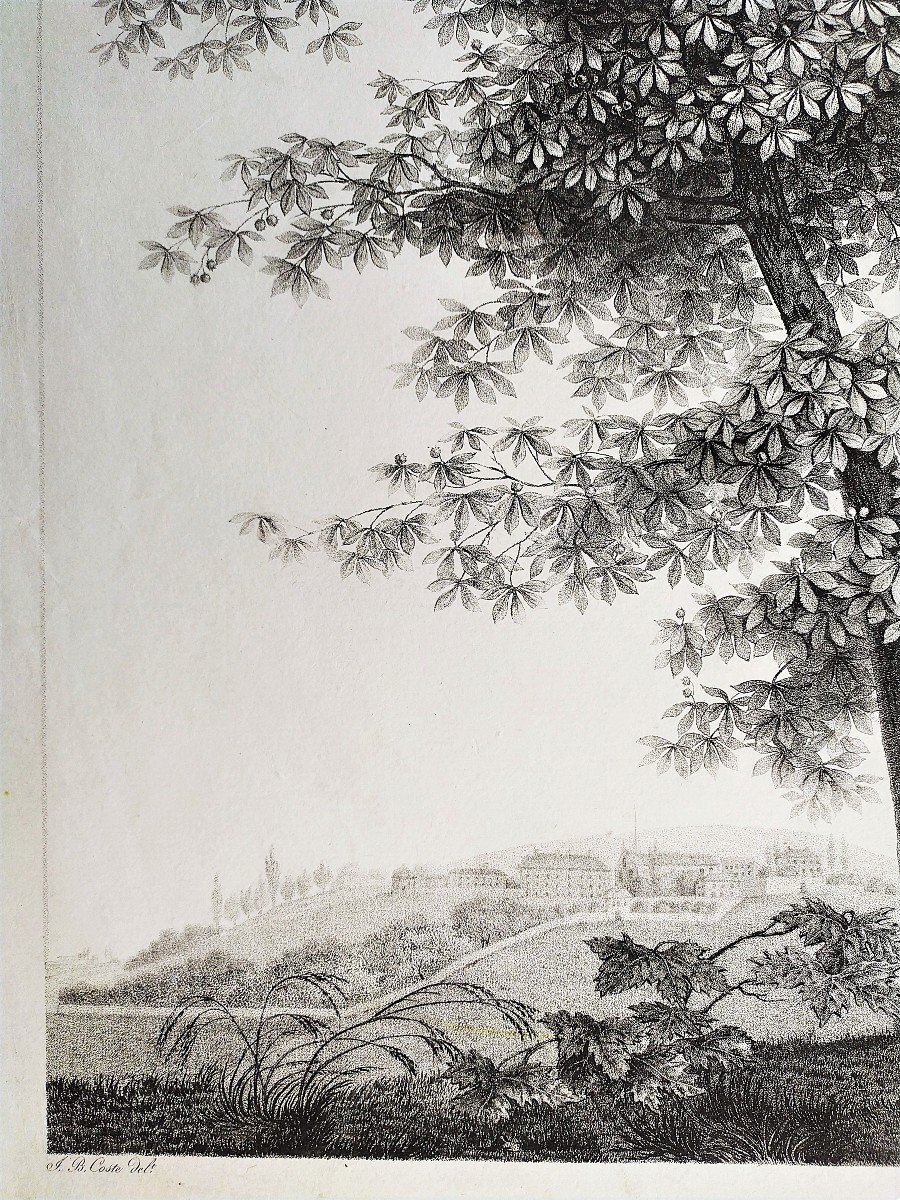 Landscape Study The Tree Empire Period Etching 19th C Old Print-photo-4