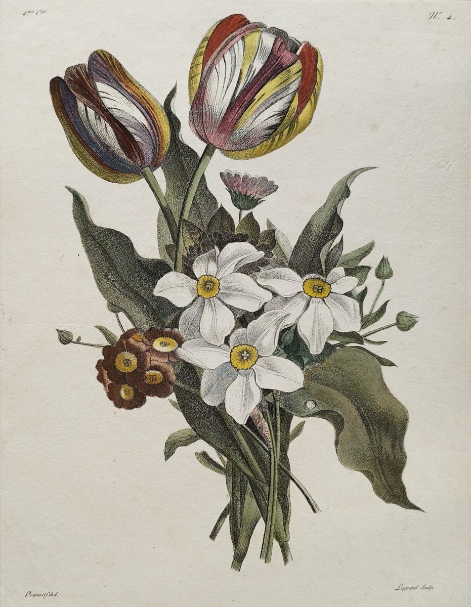 Fleurs Tulipes Narcisses Gravure Ancienne Botanique Aquarellée 18ème