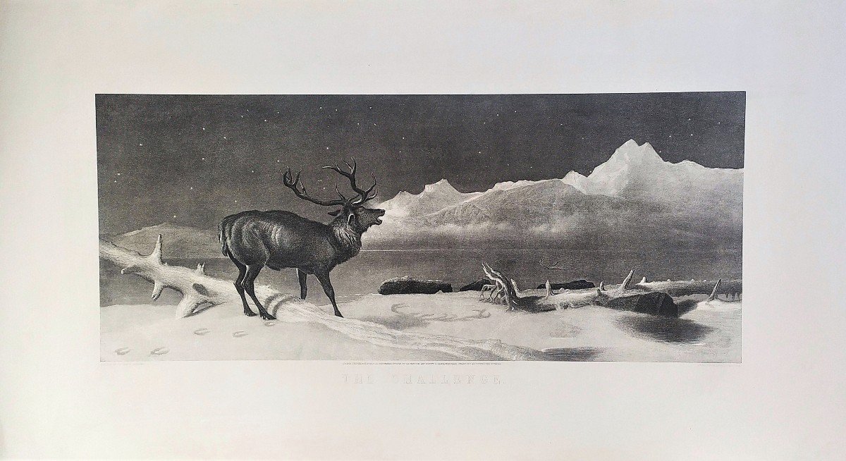 Edwin Landseer Etching Deer Engraving Animals 19th C Old Print-photo-2