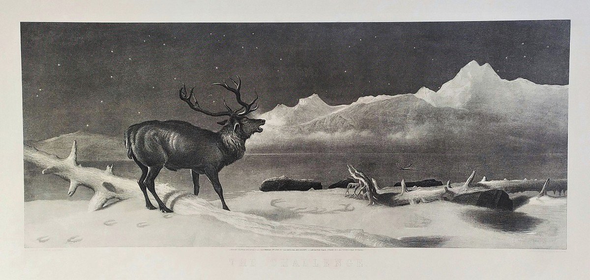 Edwin Landseer Etching Deer Engraving Animals 19th C Old Print-photo-3