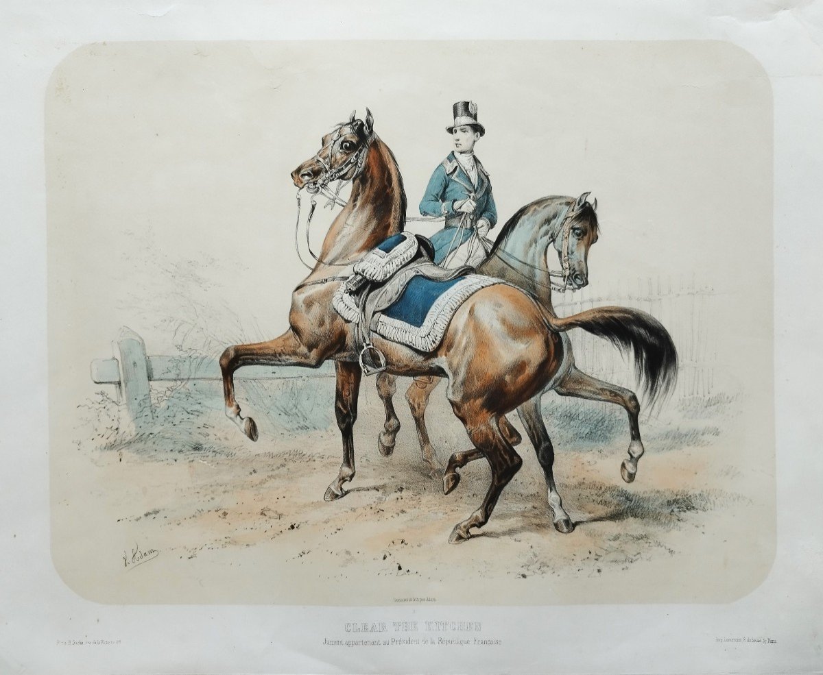 Horses Lithograph By Adam 19th C Old Print-photo-3