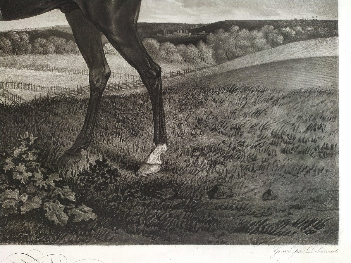 Engraving Hunting Arabian Horse The Hunter After Vernet By Debucourt 19th C Etching Old Print-photo-2