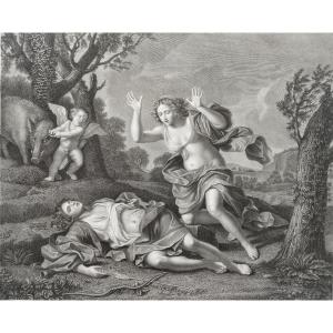 Greek Mythology Etching Venus And Adonis Engraving By Pietro Bonato Veneto Bassanese After Francesco Barbieri Old Print