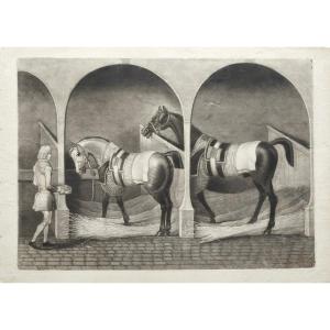  Engraving  Horses After James Seymour 18th C Etching Old Print