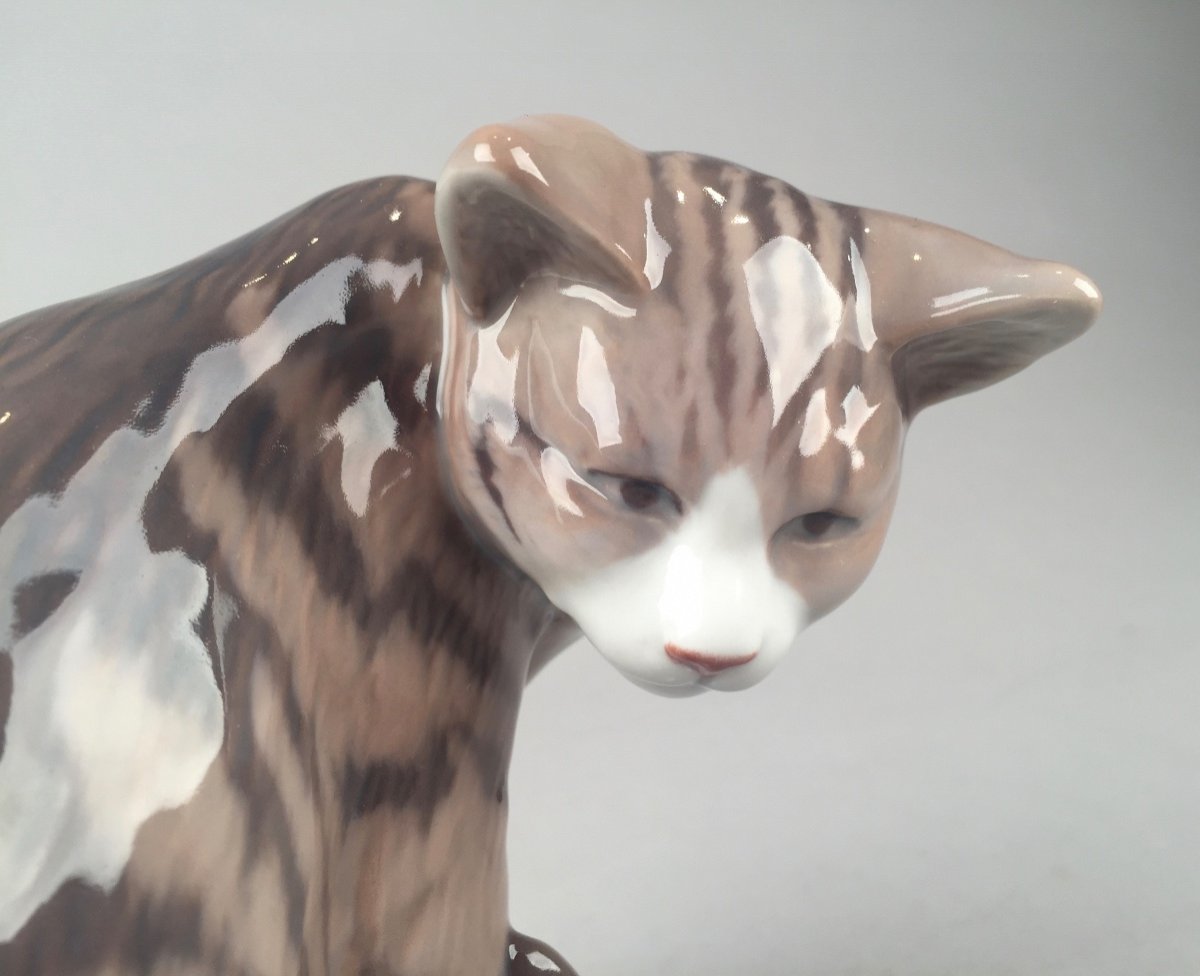 Copenhagen. Porcelain Gray Cat . Early 20th Century-photo-2