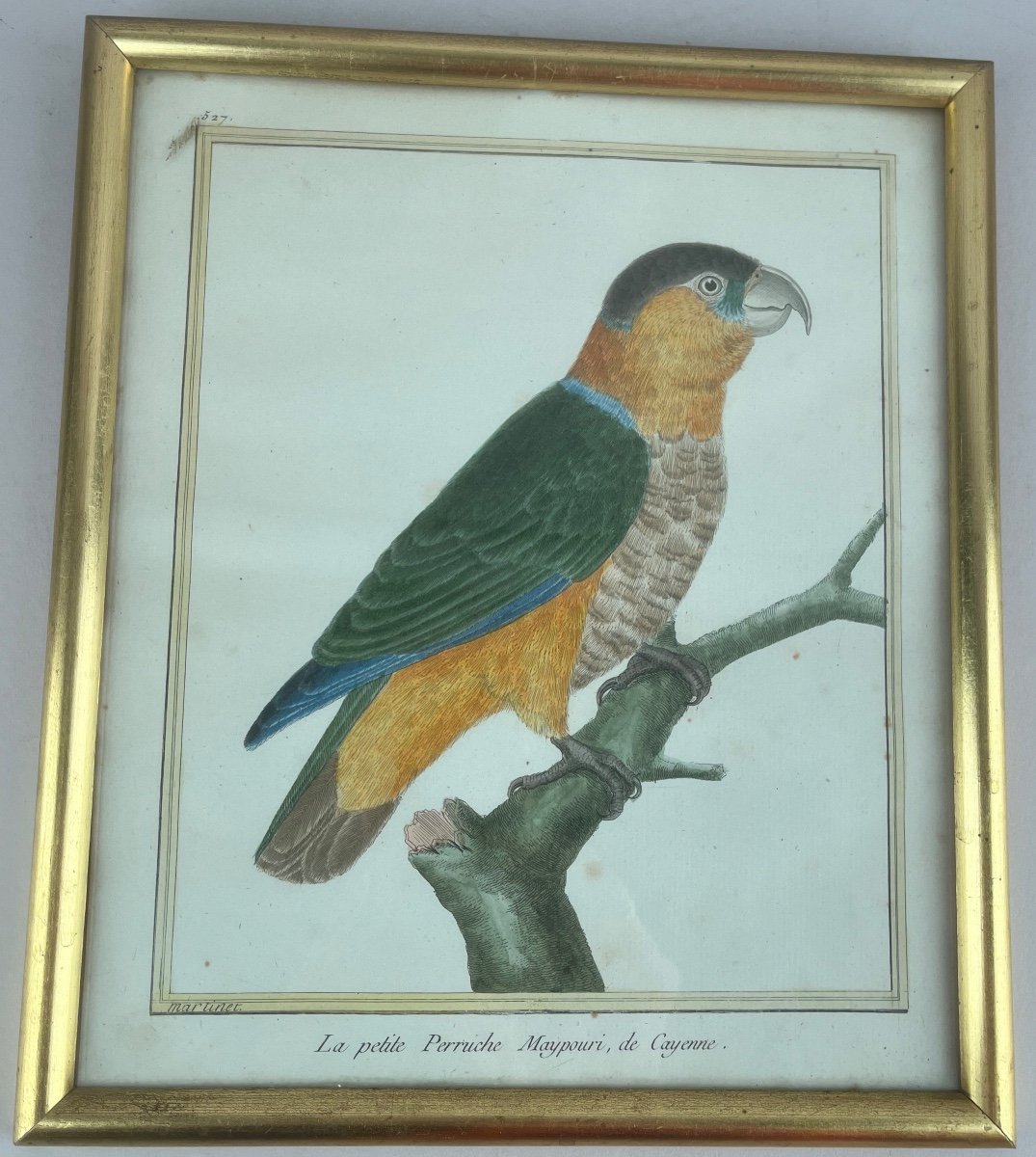 Martinet  François-Nicolas.  Série De Six Gravures Représentant Des Oiseaux Exotiques-photo-3