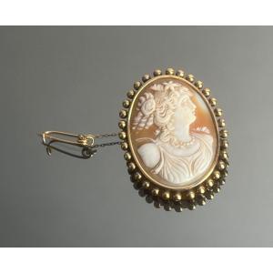 Broche Camée Coquille Et Or Fin Du XIXème Siècle