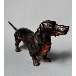 Sculpture chien "Teckel" en bronze de Vienne 