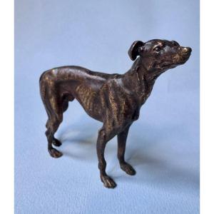 Sculpture chien "Lévrier Greyhound" Bronze de Vienne 