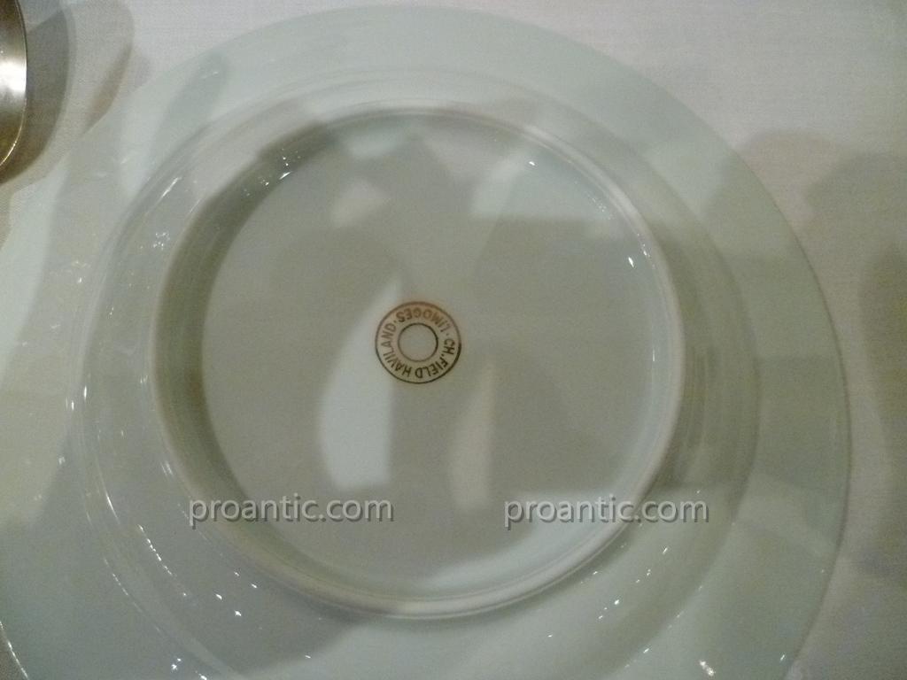 Service De Table En Porcelaine De Chez Haviland-photo-3