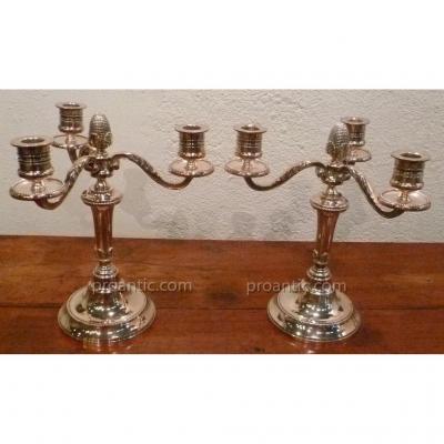 Pair Of Silver Bronze Chandeliers XIX