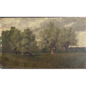 Impressionist School - Young Woman Under A Tree, Circa 1890