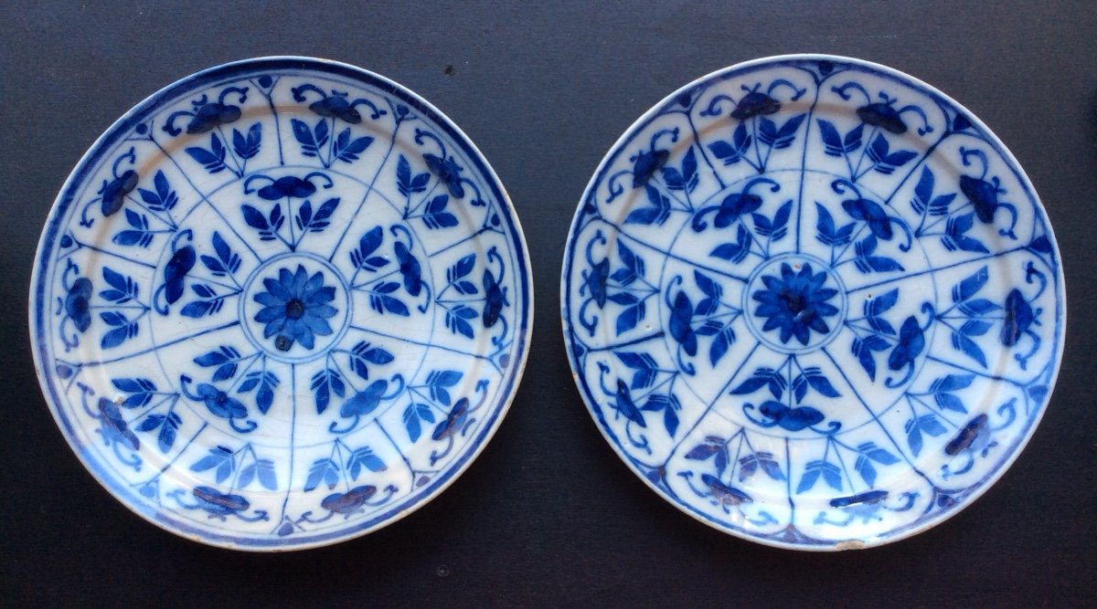 Delft 2 Assiettes en faïence a décor floral en camaïeu de bleu  XVIII