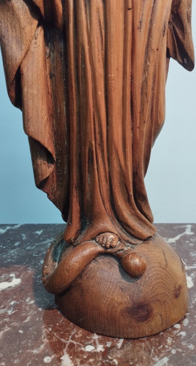 Virgin Wooden Sculpture XIX France-photo-2