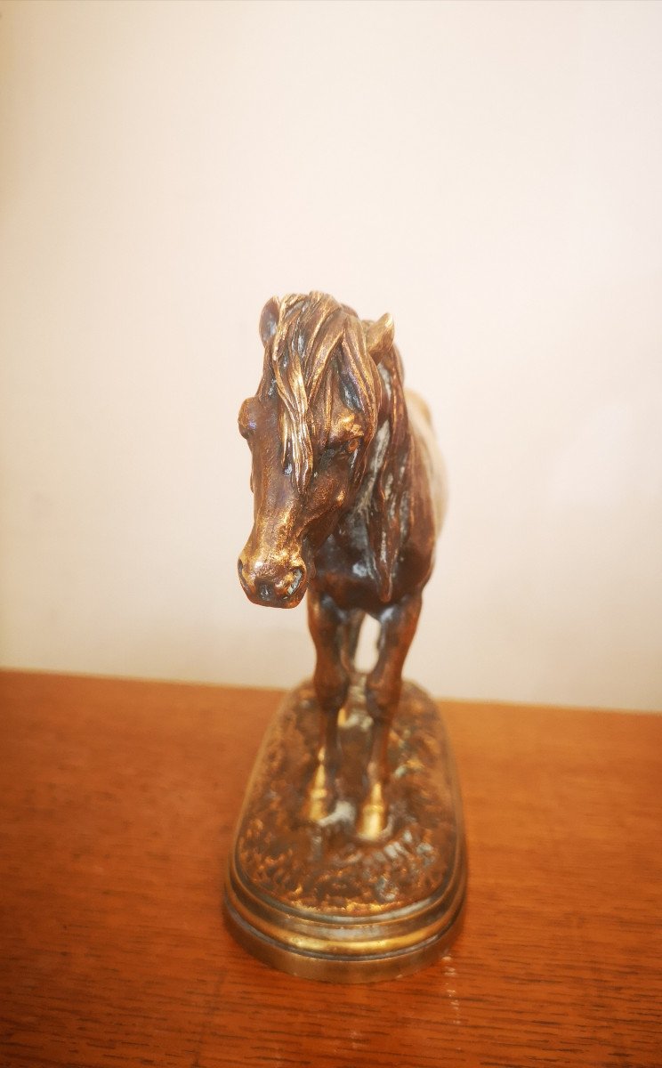 Resting Horse (chabat) Bronze Patina Gilded By Isidore Bonheur Nineteenth-photo-2