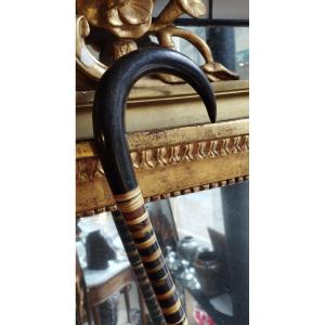 Cane In Horn XIX Century