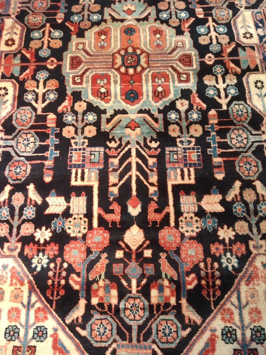 Persian Rug "koliai" 253cmx158cm-photo-2