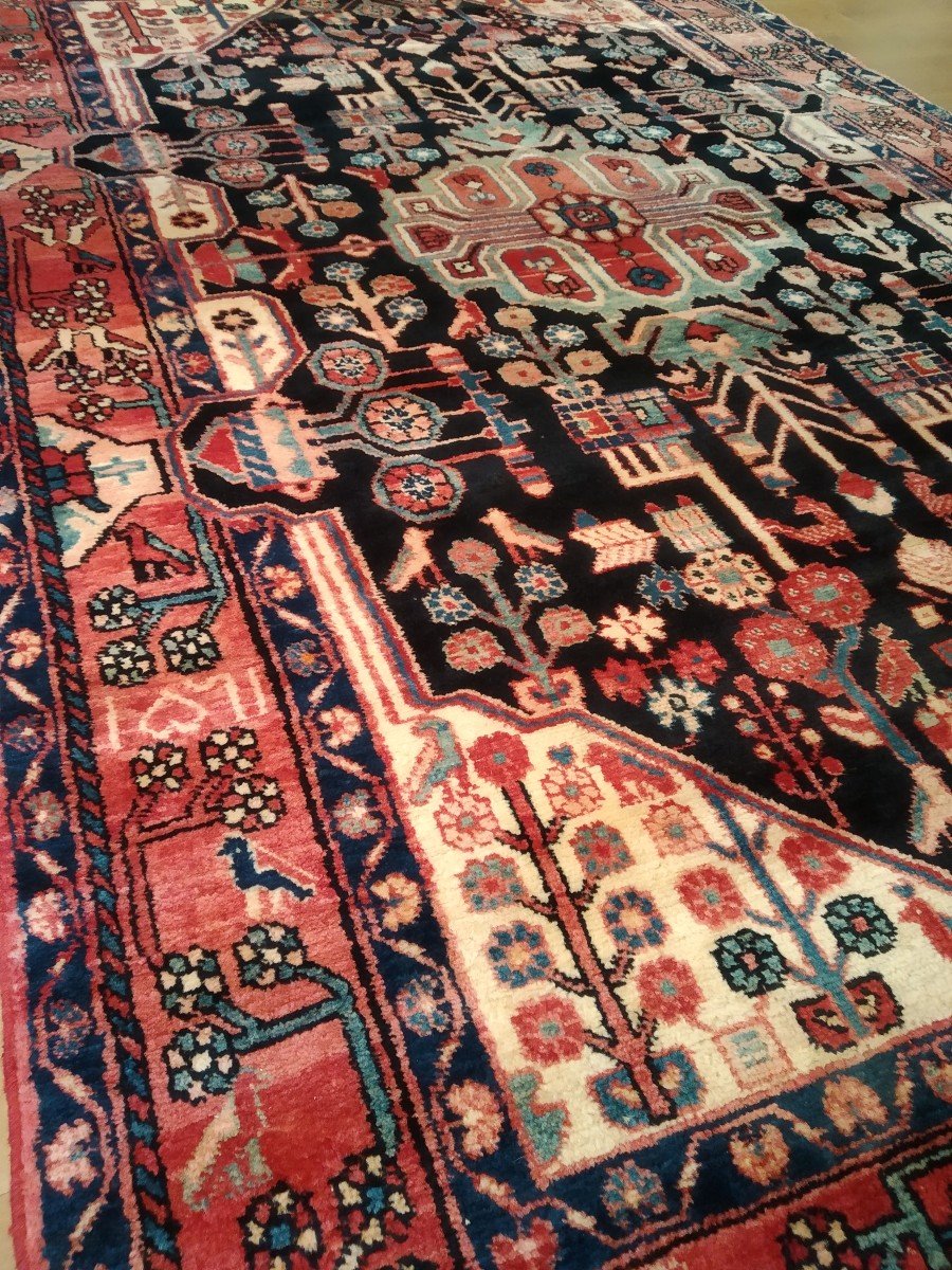 Tapis Persan "koliai" 253cmx158cm-photo-1