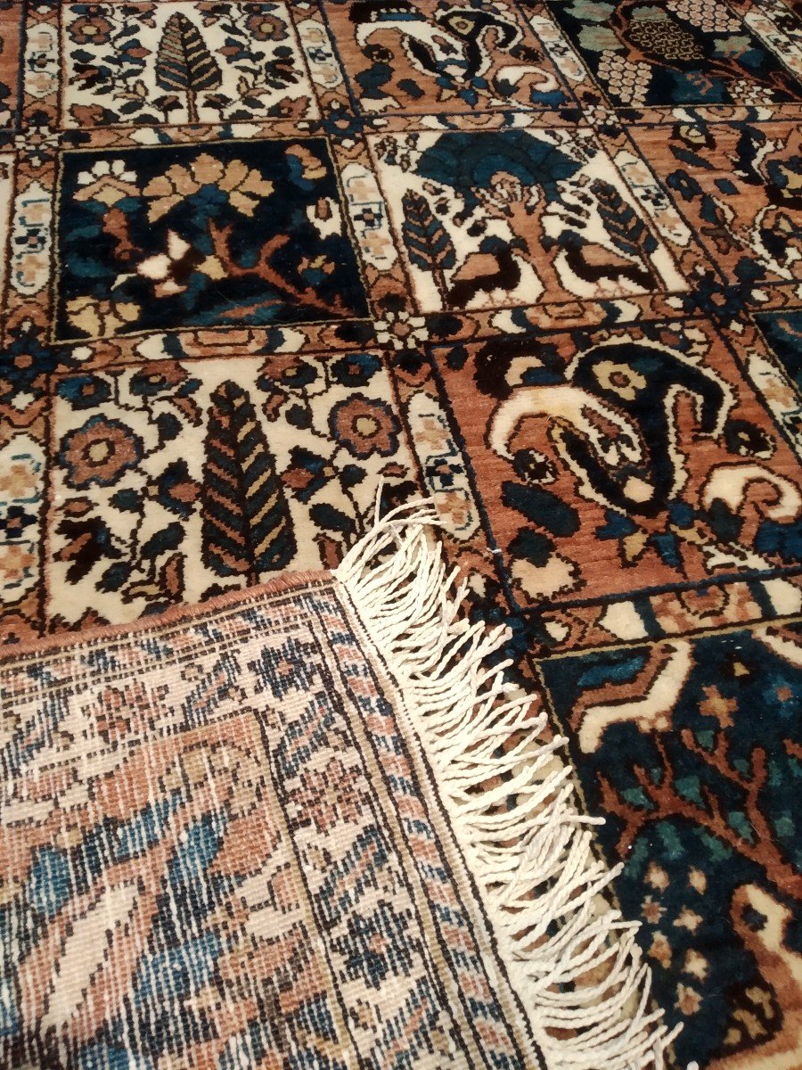 Persian Rug "bargthiar" 258cmx159cm-photo-4