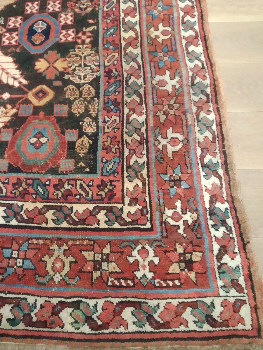 Tapis Kurde 354cmx167cm-photo-1