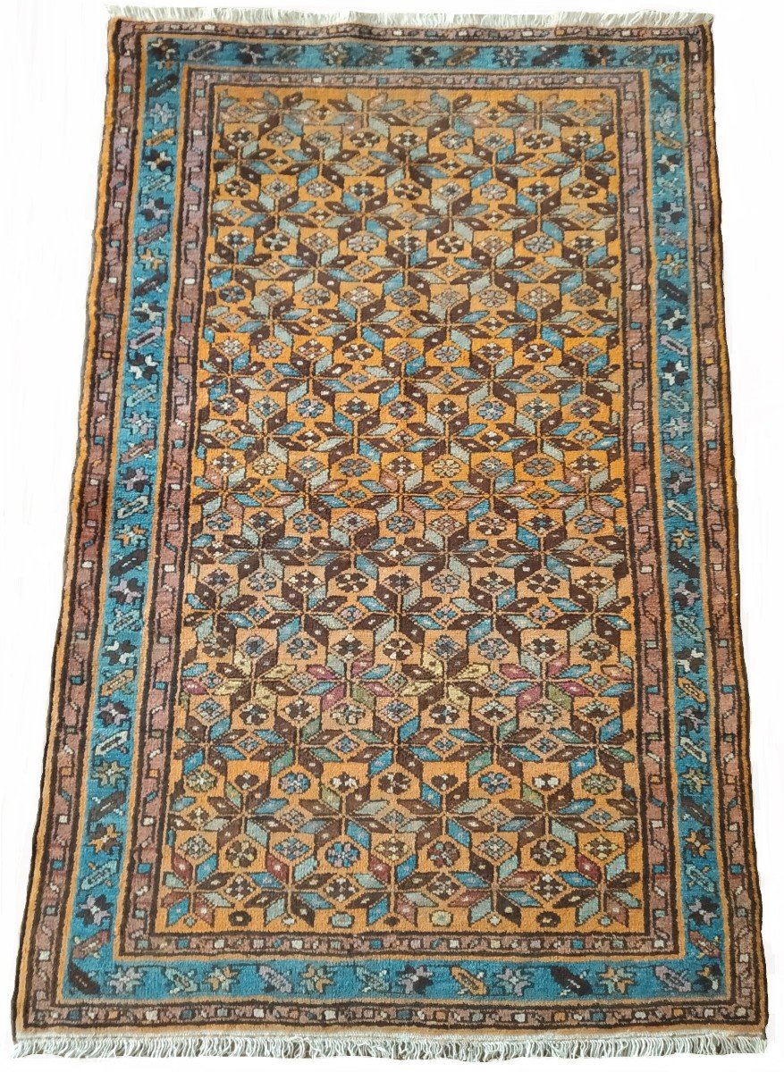 Tapis persan 145cmx94cm-photo-2