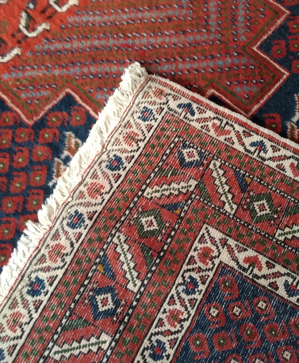 Persian Rug "afshar" 193cmx145cm-photo-4