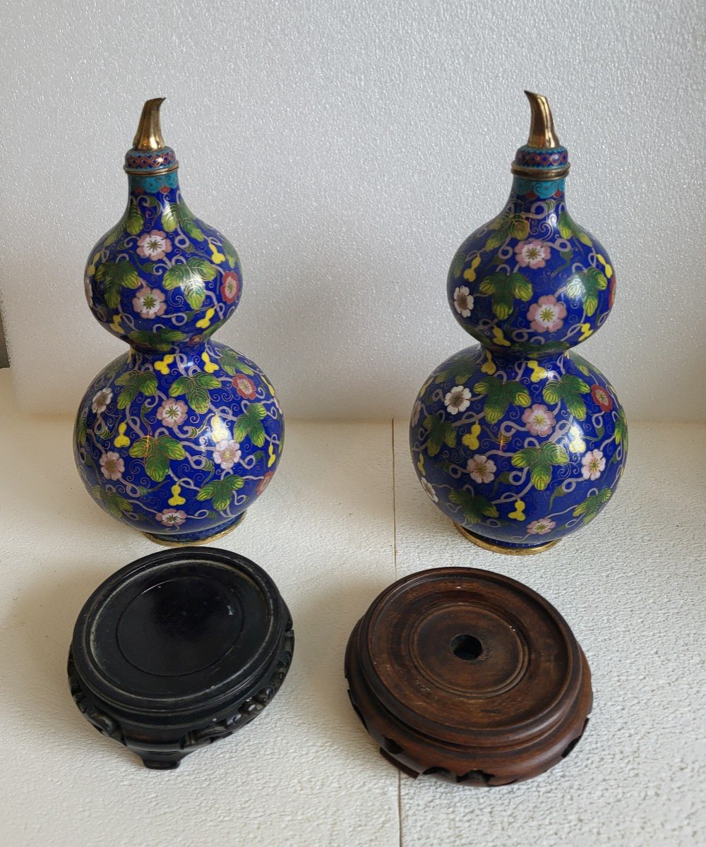 Pair Of Chinese Cloisonné Bottle Vases, 19th Century -photo-3