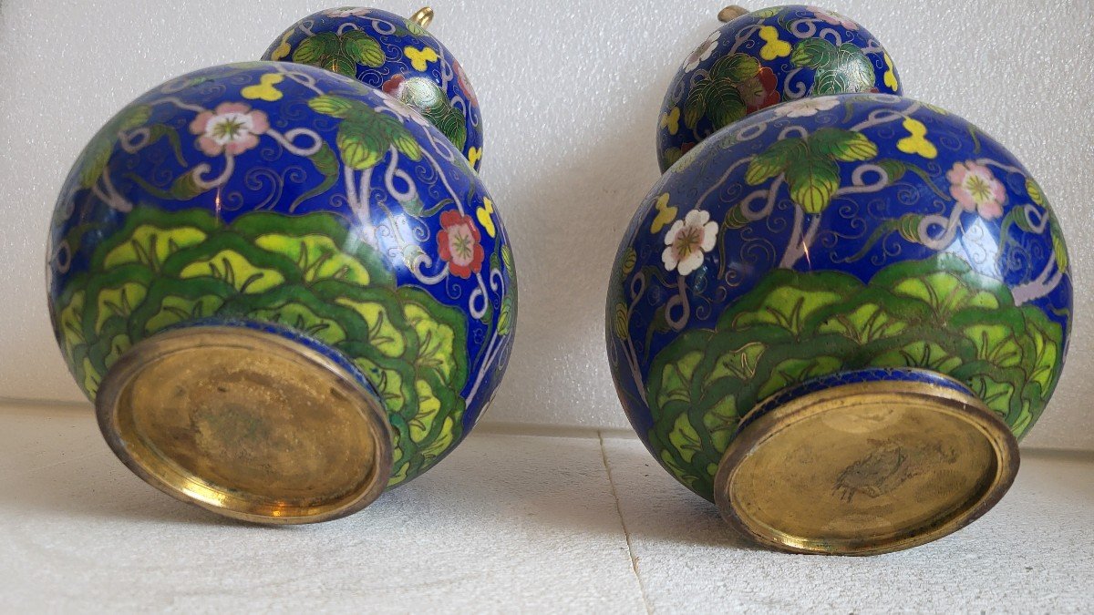 Pair Of Chinese Cloisonné Bottle Vases, 19th Century -photo-1