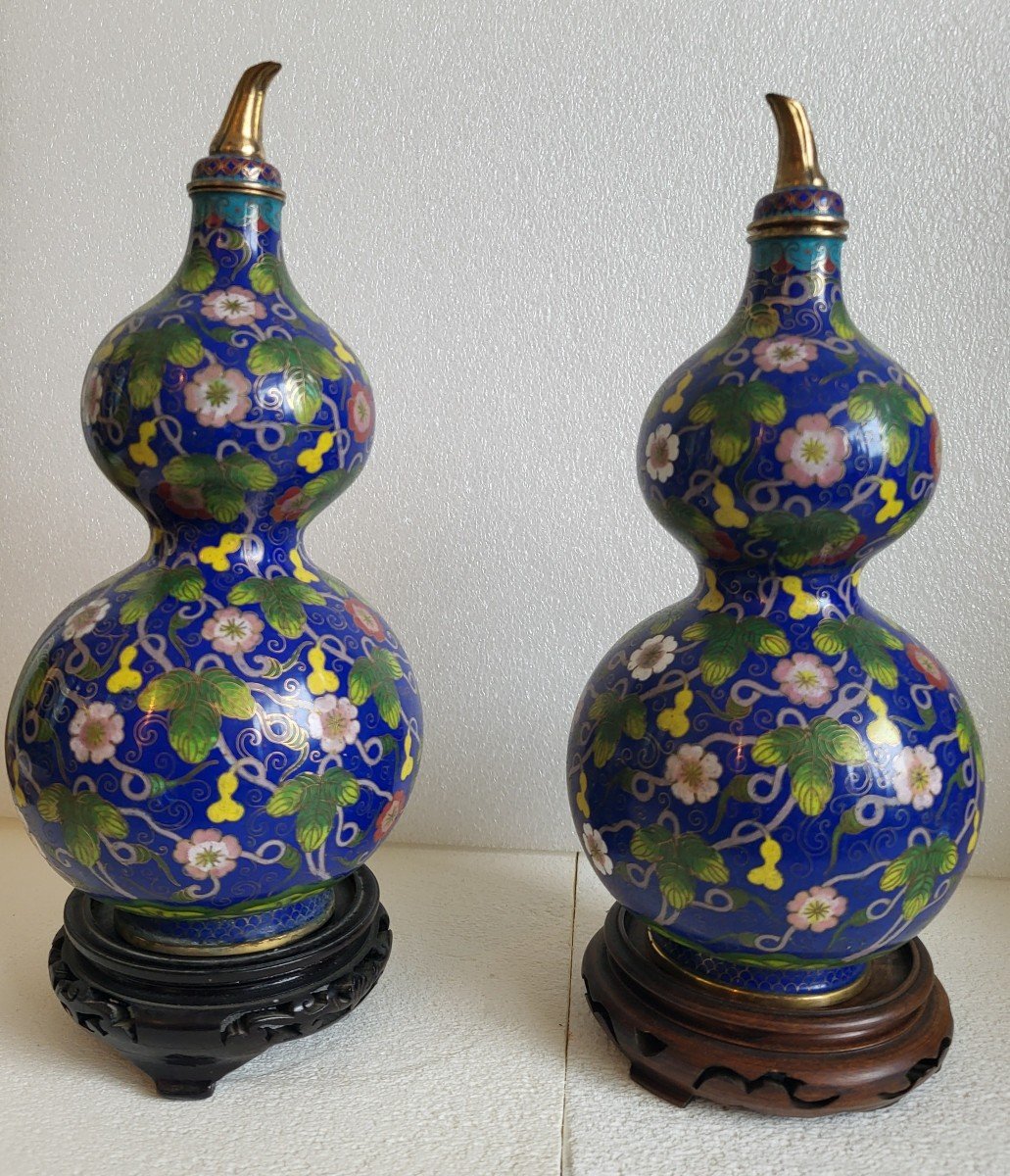 Pair Of Chinese Cloisonné Bottle Vases, 19th Century 