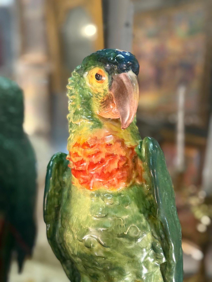 Important Porcelain Parrot -photo-4