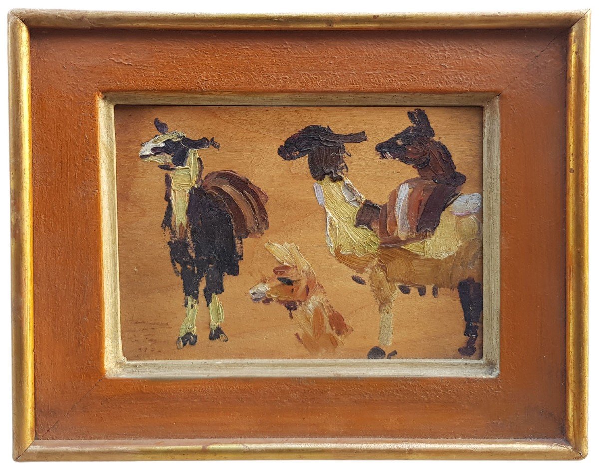 Oil On Cardboard, Lamas In Bolivia By Henri Sene