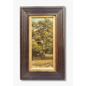 Oil On Canvas Laminated On Panel, Chestnut Tree Attributed To Antoine Chintreuil