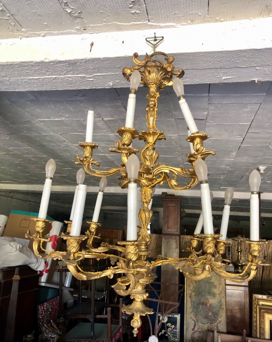 Louis XV Rocaille Style Gilded Bronze Chandelier 