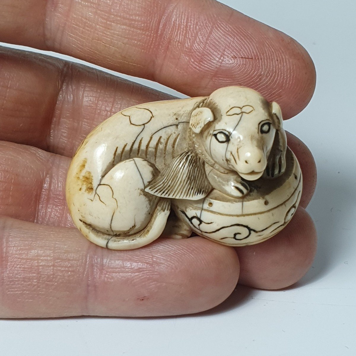 Ivory Netsuke-photo-8