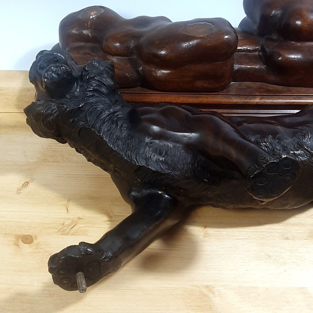 Tiger Bronze-photo-8