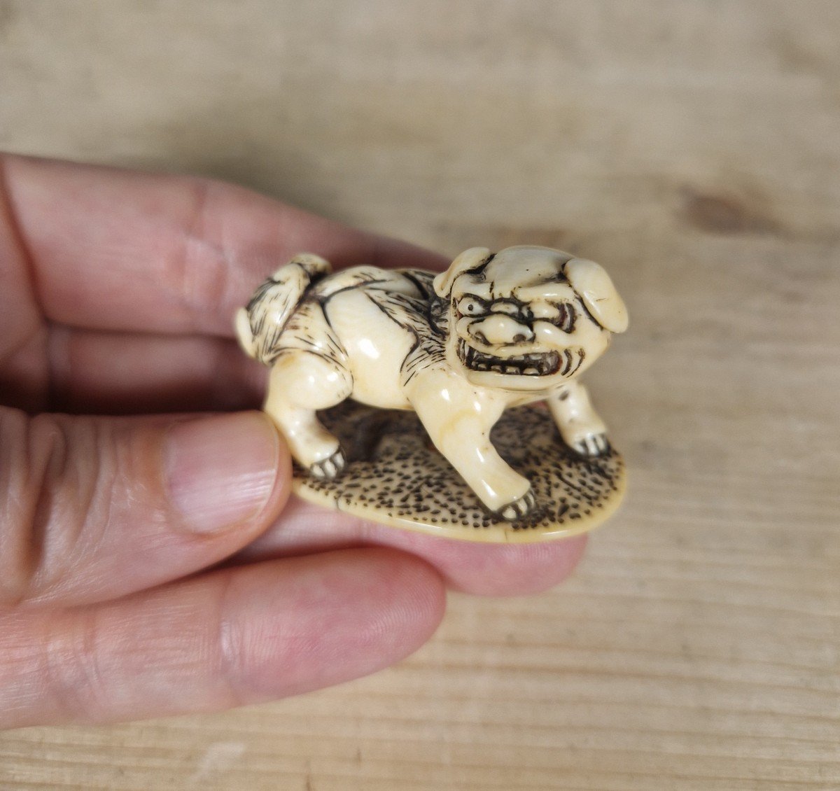 Netsuke  En Ivoire -photo-6