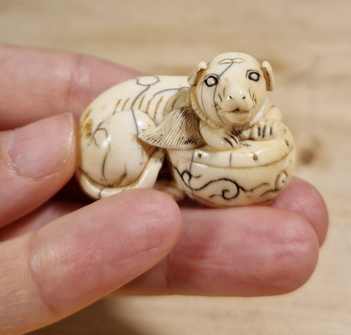 Netsuke  En Ivoire -photo-5