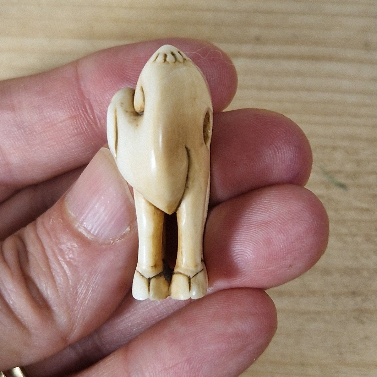 Ivory Netsuke-photo-5