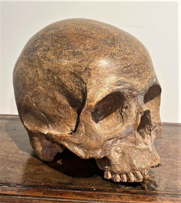 Crâne En Terre Cuite - Vanitas Ou Momento Mori Du XVIe Siècle.-photo-2