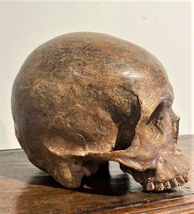 Crâne En Terre Cuite - Vanitas Ou Momento Mori Du XVIe Siècle.-photo-3