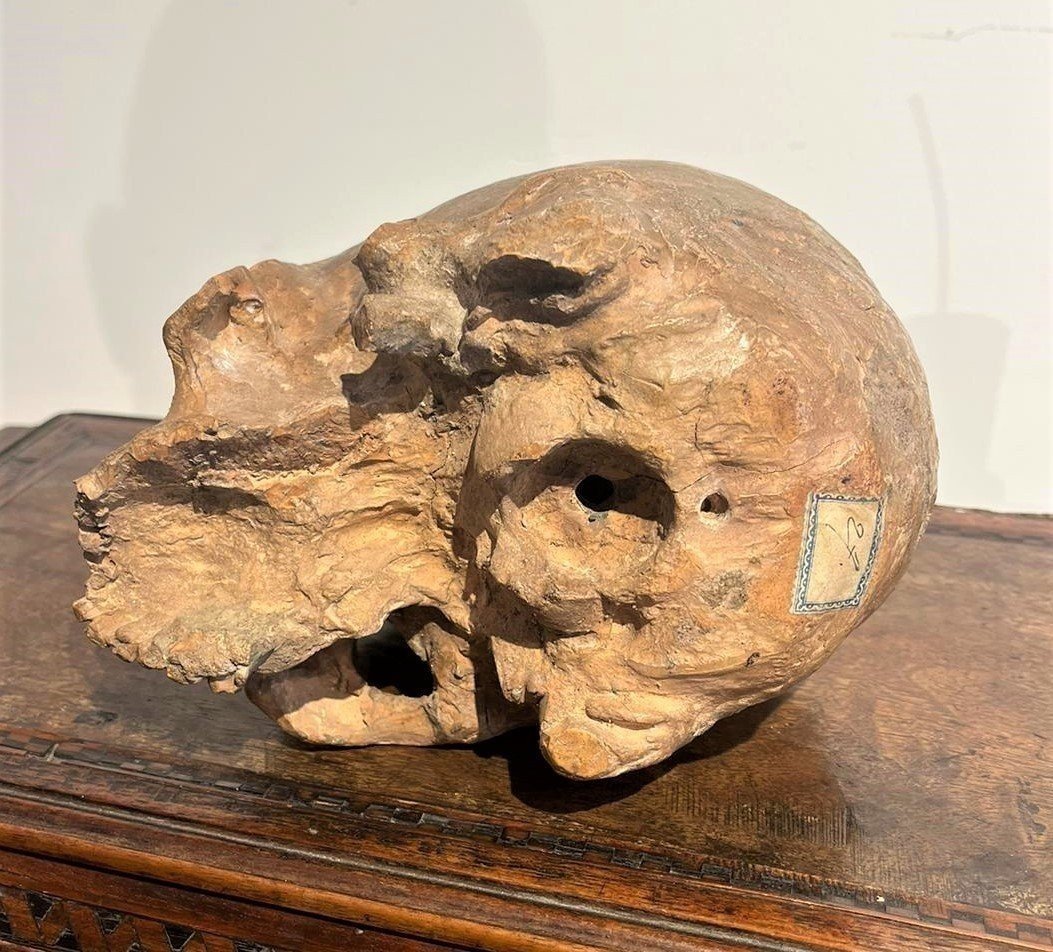 Terracotta Skull - Vanitas Or Memento Mori From The 16th Century.-photo-4