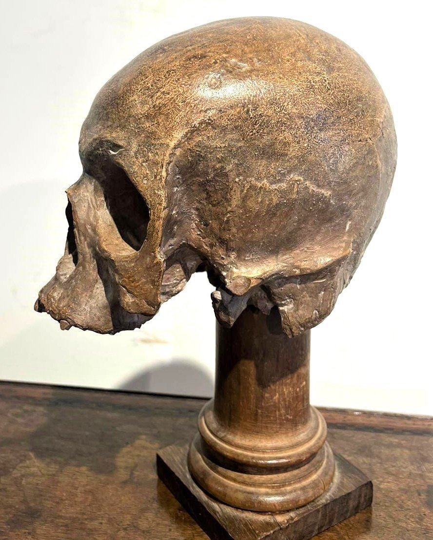 Crâne En Terre Cuite - Vanitas Ou Momento Mori Du XVIe Siècle.-photo-1