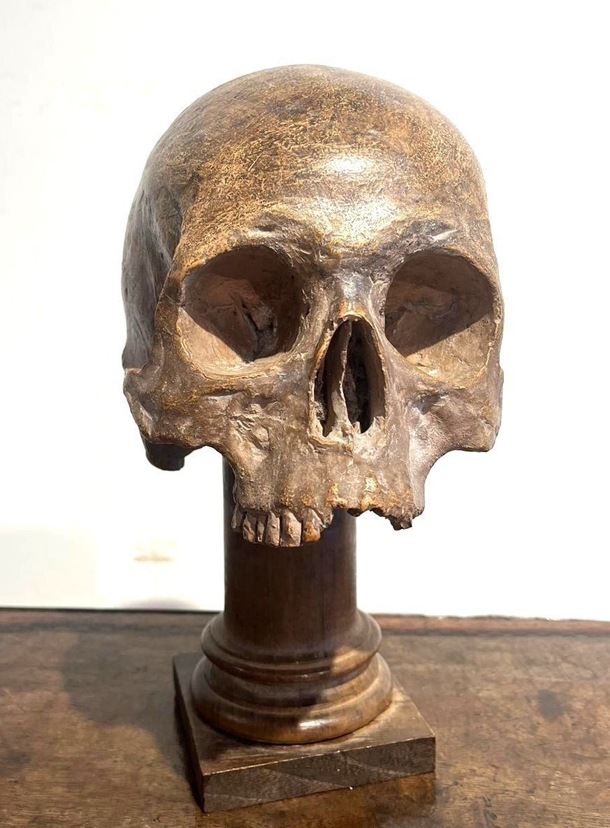 Crâne En Terre Cuite - Vanitas Ou Momento Mori Du XVIe Siècle.-photo-2