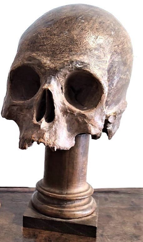 Crâne En Terre Cuite - Vanitas Ou Momento Mori Du XVIe Siècle.-photo-3