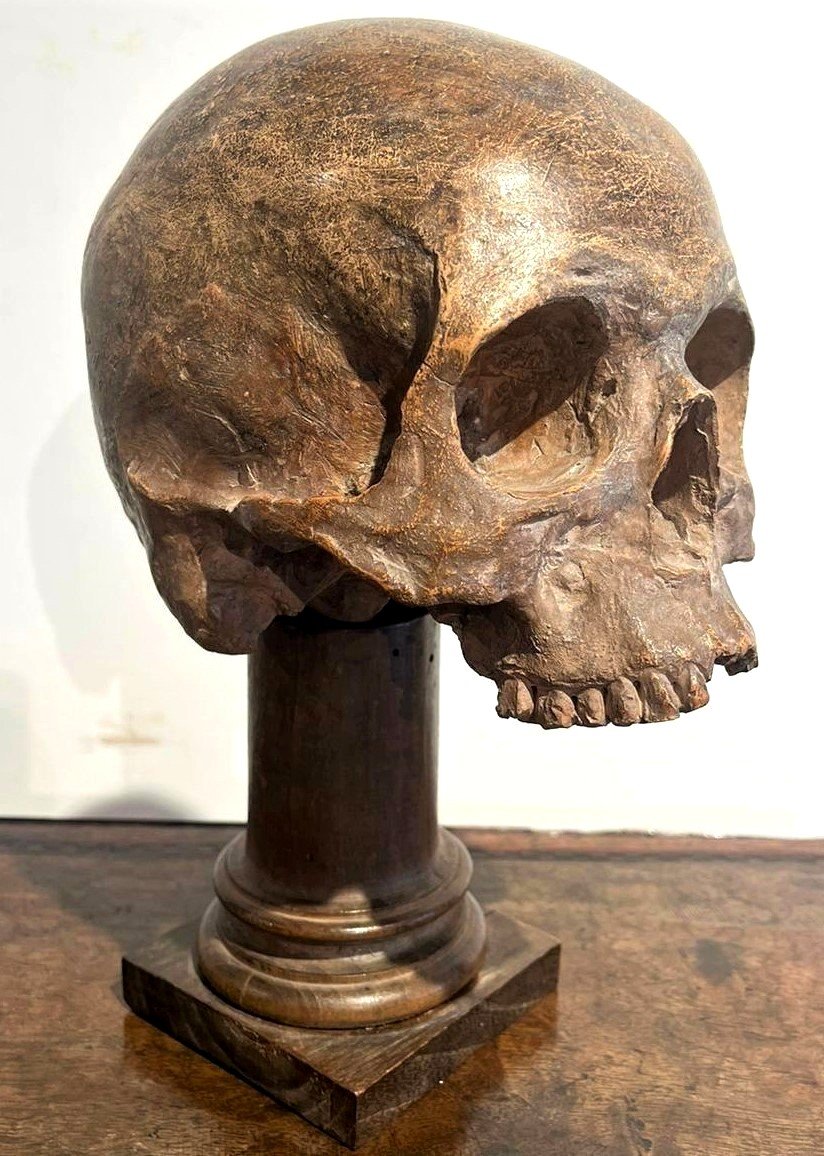 Crâne En Terre Cuite - Vanitas Ou Momento Mori Du XVIe Siècle.