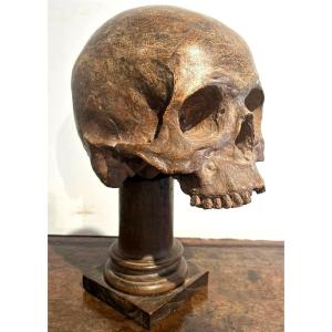 Terracotta Skull - Vanitas Or Memento Mori From The 16th Century.