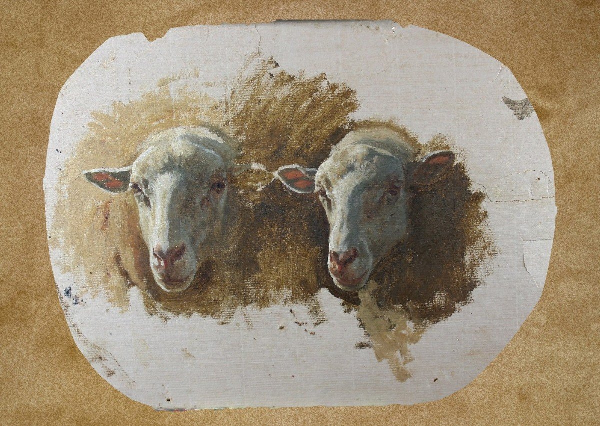 Auguste Bonheur (1824 - 1884) Heads Of Sheeps Oil On Paper Signed