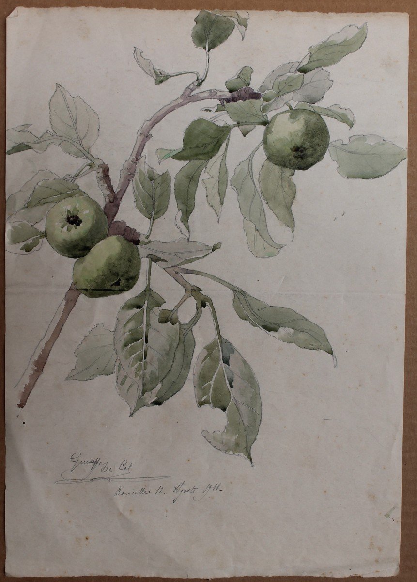 Giuseppe De Col - Fleurs - Aquarelle - Bologne